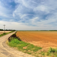 The O Neal Farm