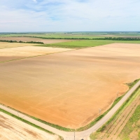 The O Neal Farm images 2