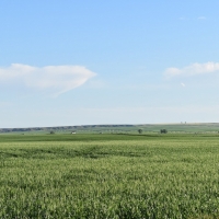 Irrigated Farm &nbsp; Equipment For Sale in McCone County  MT images 2