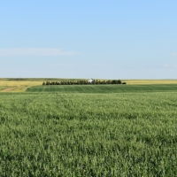 Irrigated Farm &nbsp; Equipment For Sale in McCone County  MT images 3