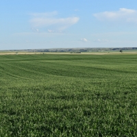 Irrigated Farm &nbsp; Equipment For Sale in McCone County  MT images 4