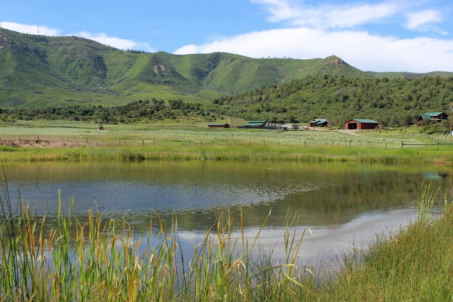 Luxury Mountain Ranch with Two Homes For Sale in Southwest CO featured image