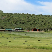 Luxury Mountain Ranch with Two Homes For Sale in Southwest CO images 2
