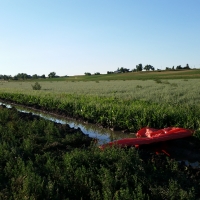 Irrigated Hunting Land images 3