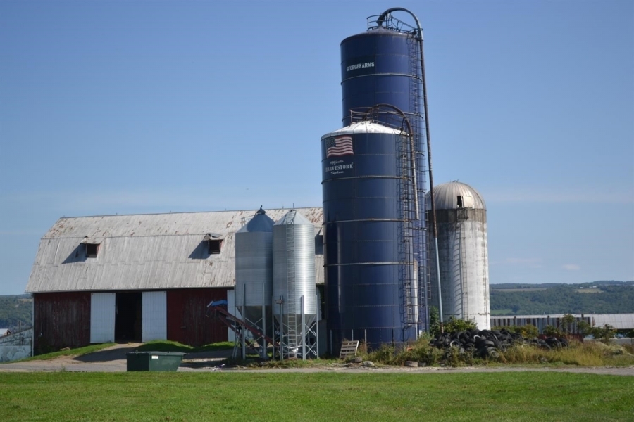 Finger Lakes Dairy Farm with Homes For Sale in Central NY featured image