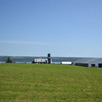 Finger Lakes Dairy Farm with Homes For Sale in Central NY images 3