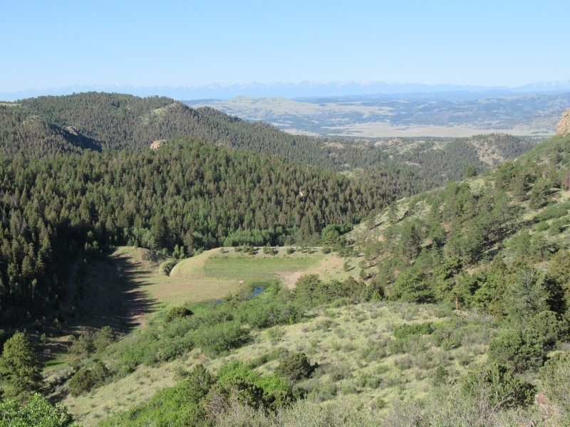 Hunting &nbsp; Recreational Ranch For Sale in Teller County  CO featured image