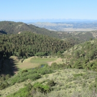 Hunting &nbsp; Recreational Ranch For Sale in Teller County  CO