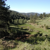 Hunting &nbsp; Recreational Ranch For Sale in Teller County  CO images 5