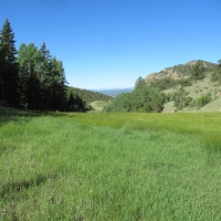 Hunting &nbsp; Recreational Ranch For Sale in Teller County  CO images 6