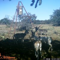 Renner Ranch