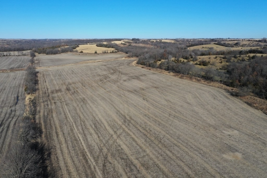 CRP Farm &nbsp; Trophy Hunting Land For Sale in Ringgold County  IA featured image