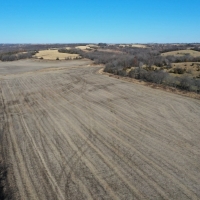 CRP Farm &nbsp; Trophy Hunting Land For Sale in Ringgold County  IA