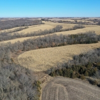 CRP Farm &nbsp; Trophy Hunting Land For Sale in Ringgold County  IA images 2