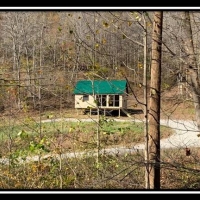 Coon Hollow Retreat images 6
