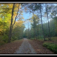 Coon Hollow Retreat images 4