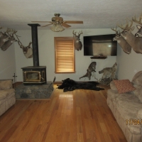 Hunting &nbsp; Recreational Land with Home For Sale in Salem WV images 4