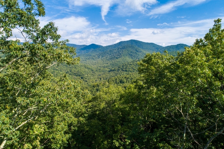 Recreational Mountain Ranch For Sale in Southwest NC featured image