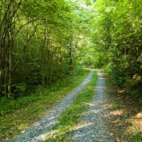Recreational Mountain Ranch For Sale in Southwest NC images 3