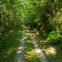 Recreational Mountain Ranch For Sale in Southwest NC images 4