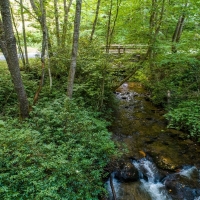 Recreational Mountain Ranch For Sale in Southwest NC images 5