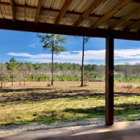 Premier Hunting &nbsp; Recreational Ranch For Sale in Macon County  AL images 5