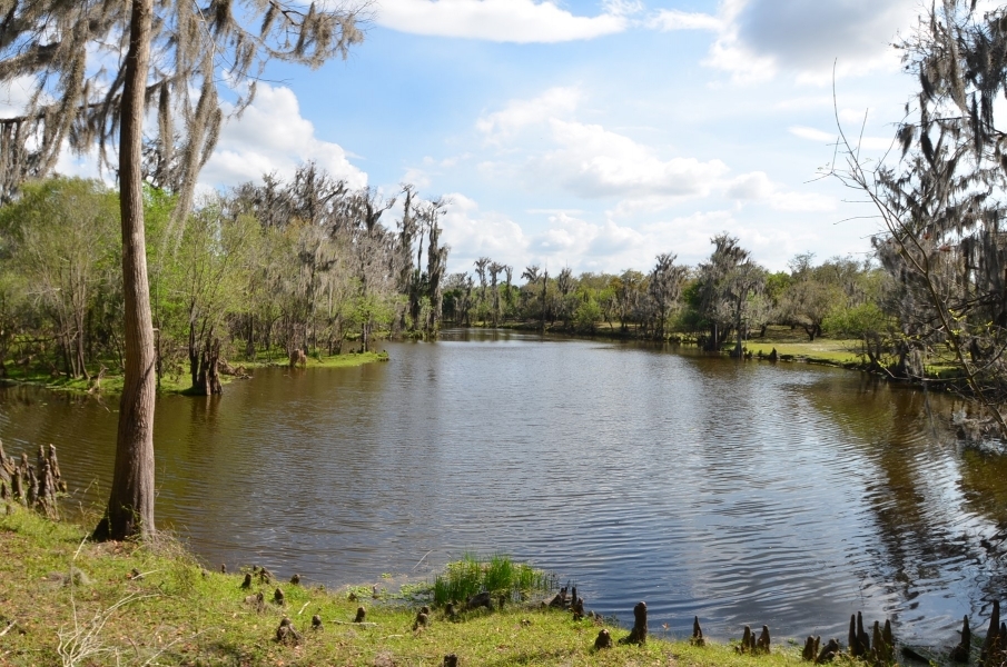 Peace River Hunting &nbsp; Recreational Ranch For Sale in DeSoto County  FL featured image