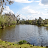 Peace River Hunting &nbsp; Recreational Ranch For Sale in DeSoto County  FL