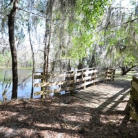 Peace River Hunting &nbsp; Recreational Ranch For Sale in DeSoto County  FL images 2