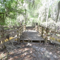 Peace River Hunting &nbsp; Recreational Ranch For Sale in DeSoto County  FL images 3