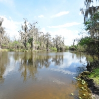Peace River Hunting &nbsp; Recreational Ranch For Sale in DeSoto County  FL images 4