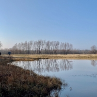 Hunting &nbsp; Recreational Land For Sale Near Oklahoma City  OK images 4