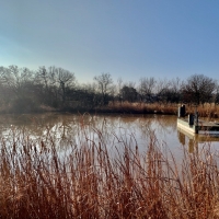 Hunting &nbsp; Recreational Land For Sale Near Oklahoma City  OK images 6
