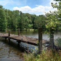 Elegant Country Home &nbsp; Recreational Land For Sale in Southeast AL images 2