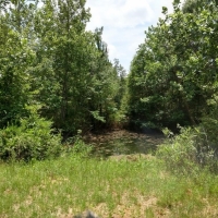 Elegant Country Home &nbsp; Recreational Land For Sale in Southeast AL images 3