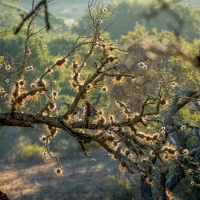 Stunning Hunting &nbsp; Recreational Ranch For Sale in Central TX images 6