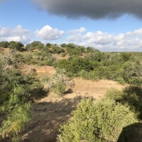 Texas Hunting &nbsp; Recreational Property images 6