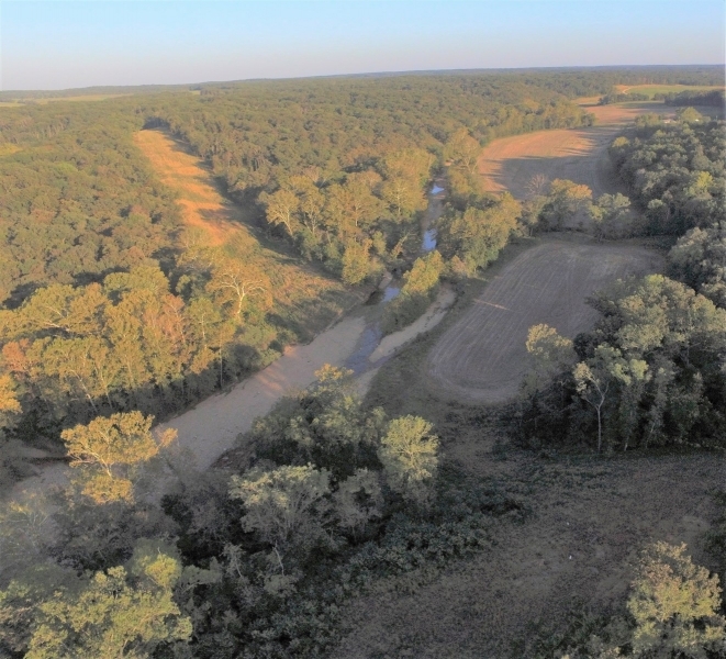 Cattle Ranch &nbsp; Hunting Land For Sale in Benton County  MO featured image