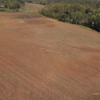 Cattle Ranch &nbsp; Hunting Land For Sale in Benton County  MO images 5