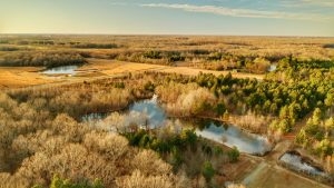 Mallard Acres South featured image