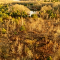 Mallard Acres South images 2