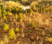Mallard Acres South images 5