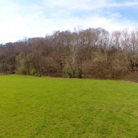 50 Acres Dickson County images 3