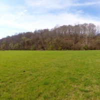 50 Acres Dickson County images 4