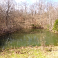50 Acres Dickson County images 5