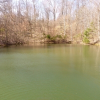 50 Acres Dickson County images 6