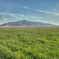 Drip-Irrigated Farm &nbsp; Ranch For Sale in Luna County  NM