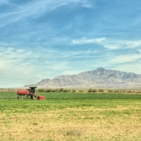 Drip-Irrigated Farm &nbsp; Ranch For Sale in Luna County  NM images 2