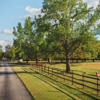 Dry Dock Farm images 3