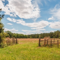 Dry Dock Farm images 6